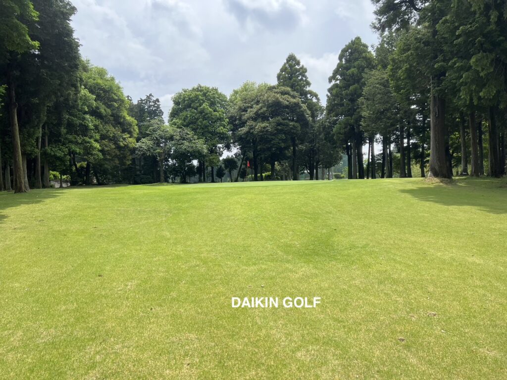ダイナミックゴルフ成田のショートコースNO.1グリーン周辺