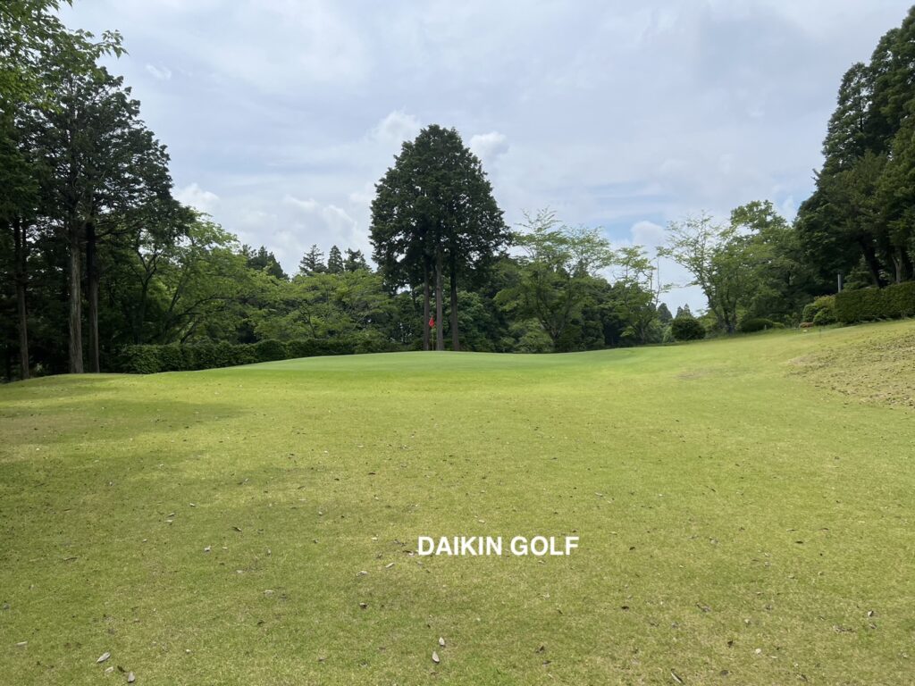ダイナミックゴルフ成田のショートコースNO.5グリーン周辺