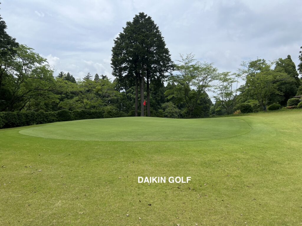 ダイナミックゴルフ成田のショートコースNO.5グリーン