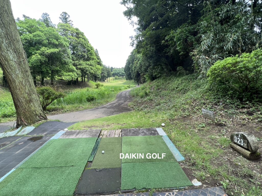 ダイナミックゴルフ成田のショートコースNO .8