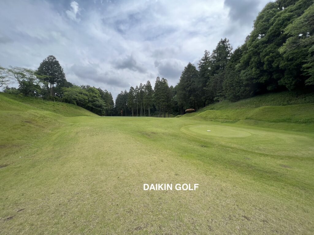 ダイナミックゴルフ成田のショートコースNO .8グリーン周辺