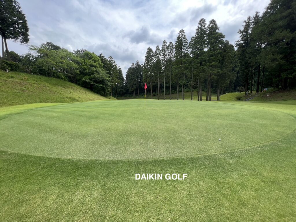 ダイナミックゴルフ成田のショートコースNO .8グリーン