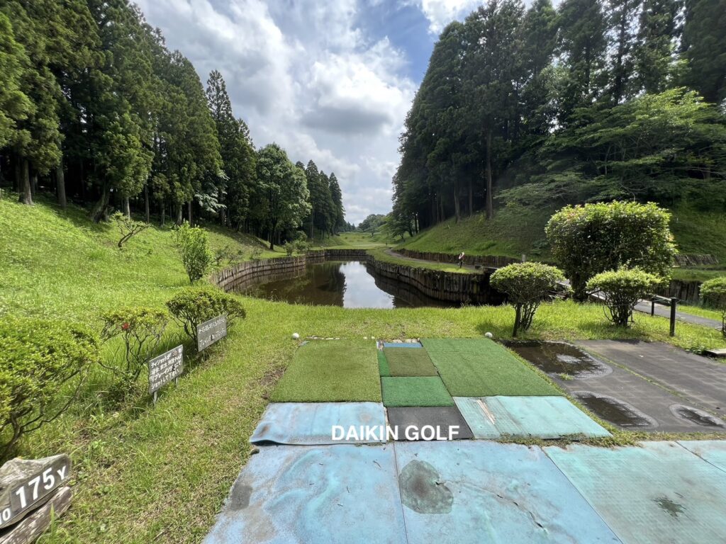ダイナミックゴルフ成田のショートコースNO 10