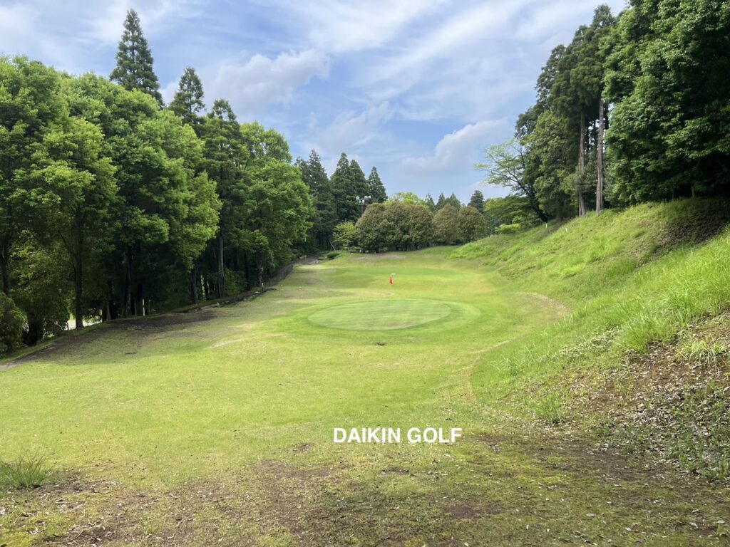 ダイナミックゴルフ成田のショートコースNO 11グリーン周辺
