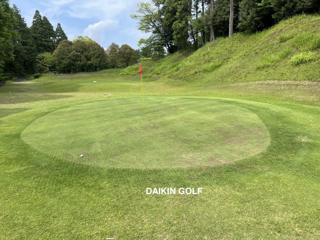 ダイナミックゴルフ成田のショートコースNO 11グリーン